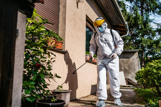 Professional Pest Control in Stallion Springs, CA