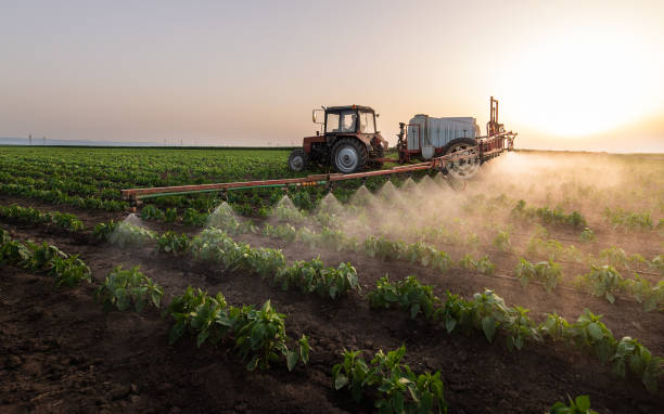 Insect Control in Stallion Springs, CA