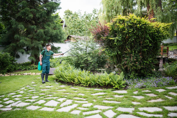 Best Best Pest Control Companies  in Stallion Springs, CA