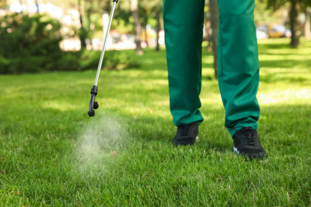 Pest Prevention Services in Stallion Springs, CA