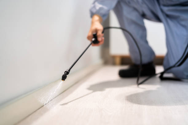 Best Flea Control Services  in Stallion Springs, CA