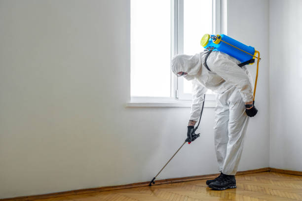 Best Pest Prevention Services  in Stallion Springs, CA