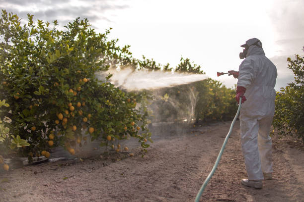 Best Bird Control  in Stallion Springs, CA